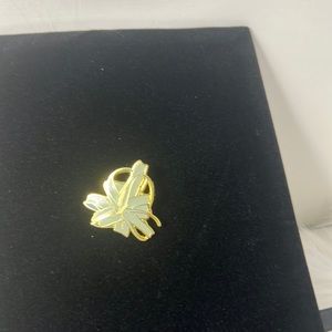 Anguillian Plant Pin Broach Tillandsia 1.5” x 1.5"